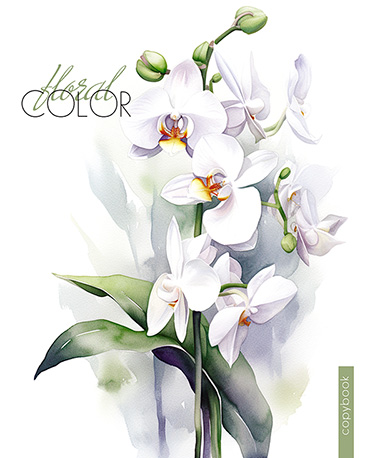 Тетрадь 96л. клетка Апплика Белые цветы 2552-64