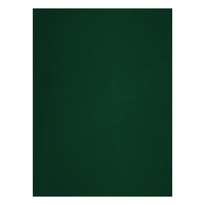 Тетрадь А4 48л. клетка БиДжи бумвинил, зеленый 12322