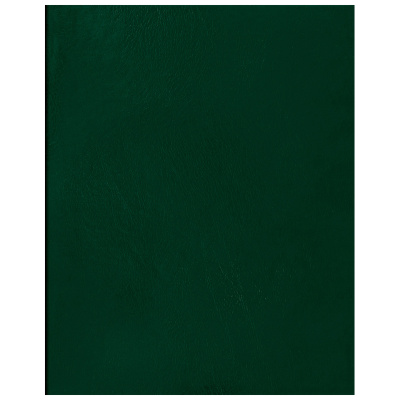 Тетрадь А4 80л. клетка БиДжи Бумвинил, зеленый 12324