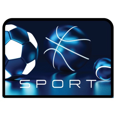 Папка с ручками А4 ArtSpace Sport, пластик, на молнии, 1 отделение 15070006