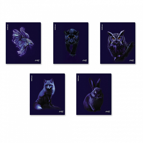 Тетрадь 48л. клетка ErichKrause Indigo 64867