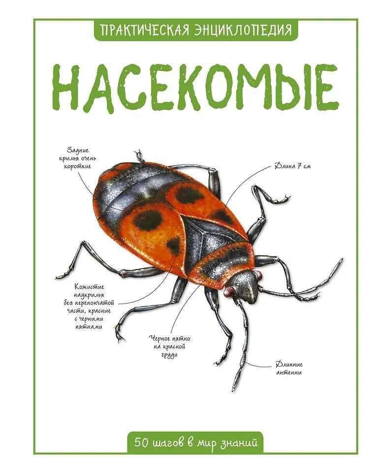 Практическая энциклопедия. Насекомые /50 шагов в мир знаний/Махаон