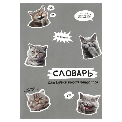 Тетрадь для записи иностранных слов А5 48л. клетка Феникс+ Стикеры с котами 73204