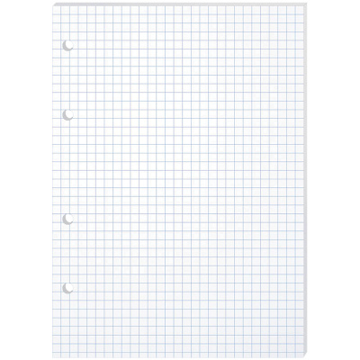 Сменный блок для тетрадей на кольцах А5 80 листов клетка BG 12357