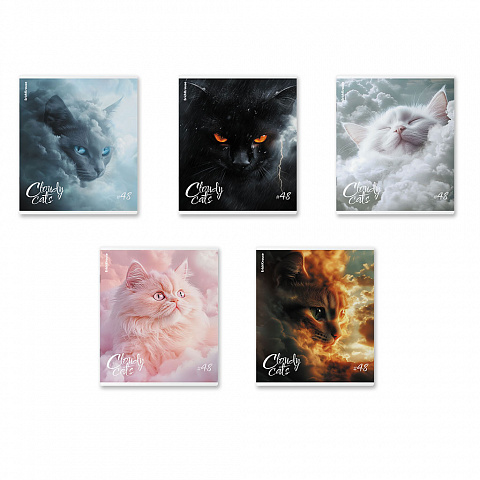 Тетрадь 48л. клетка ErichKrause Cloudy Cats 64862