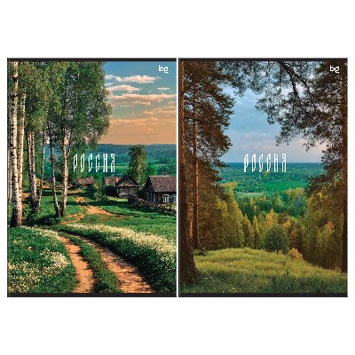 Тетрадь А4 48л. клетка БиДжи Родные места 06283