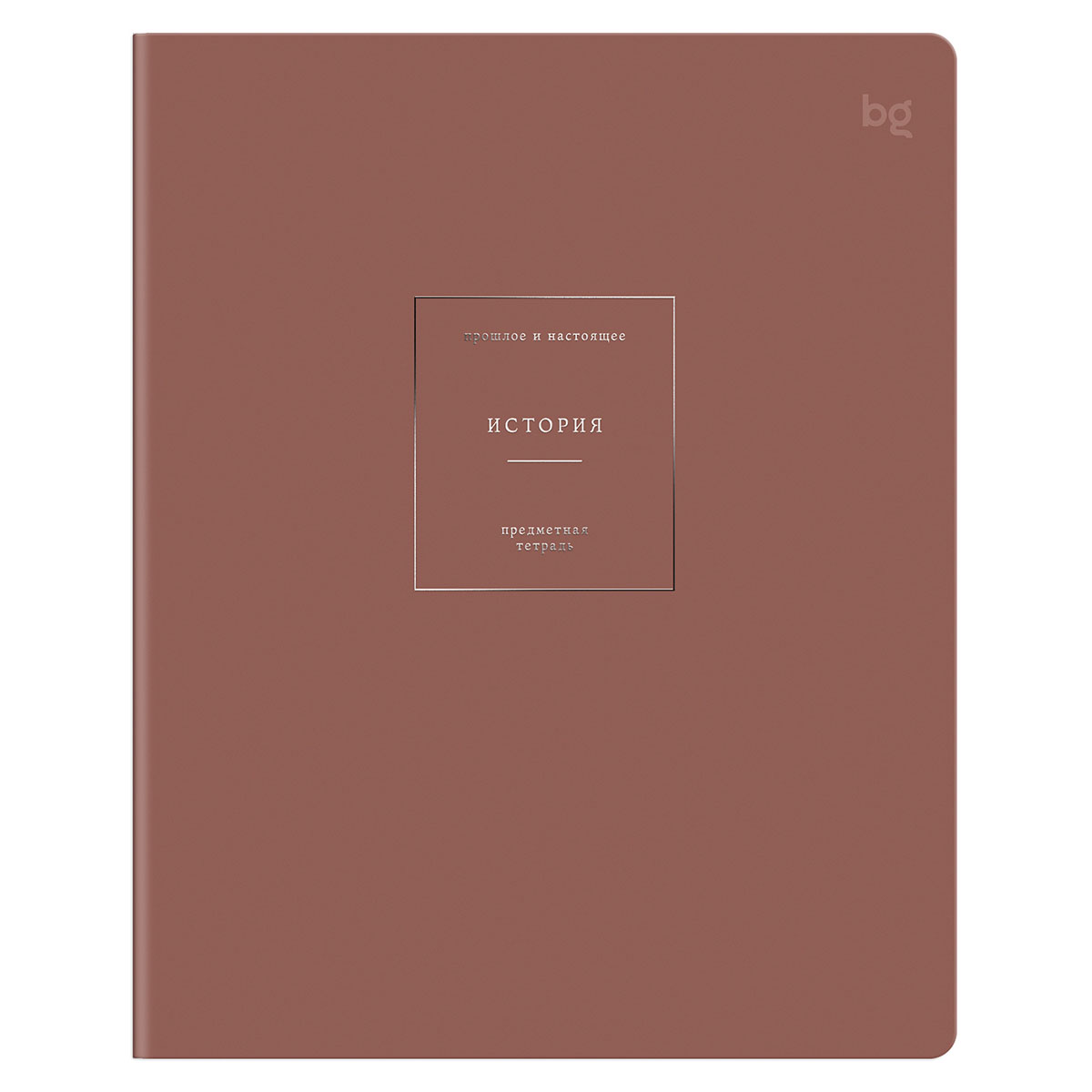 Тетрадь предметная 48л. БиДжи Color object История, клетка, обложка soft-touch 09161