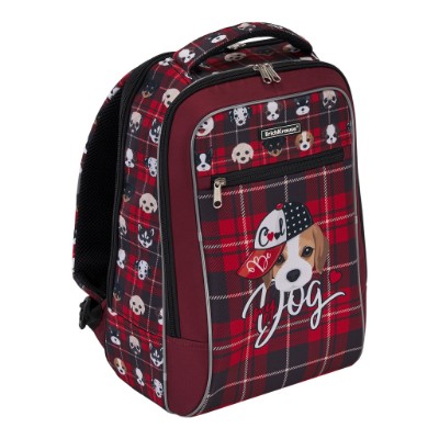 Рюкзак школьный ErichKrause ErgoLine Urban Cute Dog 18L 51611