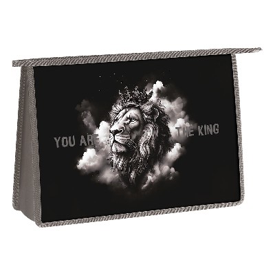 Папка для труда А4 ArtSpace King пластиковая на молнии 2 отделения PH0001