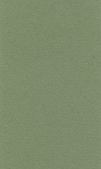 Бумага для пастели Lana Colours А4 Зеленый сок 25 л. плотность 160 г/м2 (1 шт.)  15 723 143