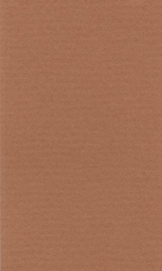 Бумага для пастели Lana Colours А4 Охра 25 л. плотность 160 г/м2 (1 шт.) 15 723 150