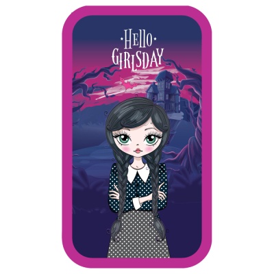 Пенал-книжка ArtSpace GirlsDay 190х105мм. 2 отделения без наполнения 59963