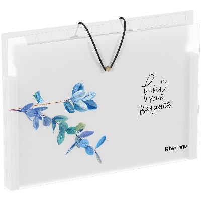 Папка на резинке 12 отделений Berlingo Spring А4 600мкм. с рисунком 12802