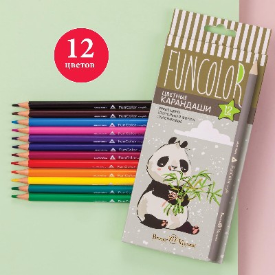 Карандаши цветные 12 цв. BrunoVisconti FunColor пластиковые, трехгранные 30-0060