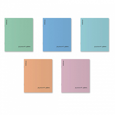 Тетрадь предметная 48л. ErichKrause Dream Русский язык, линия, пластиковая обложка 65279