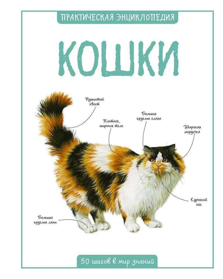 Практическая энциклопедия. Кошки /50 шагов в мир знаний/Махаон