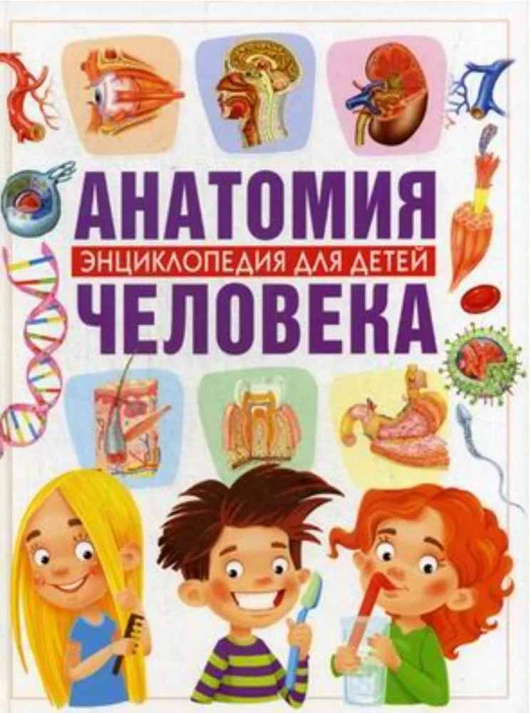 Анатомия человека. Энциклопедия для детей. Гуиди. Владис