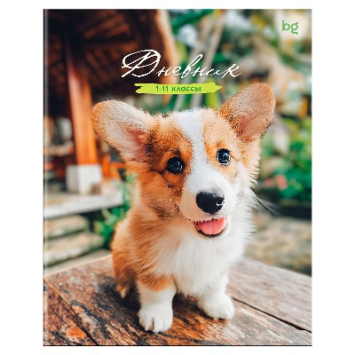 Дневник школьный 1-11 классов БиДжи Корги 48л. картонная обложка 62254