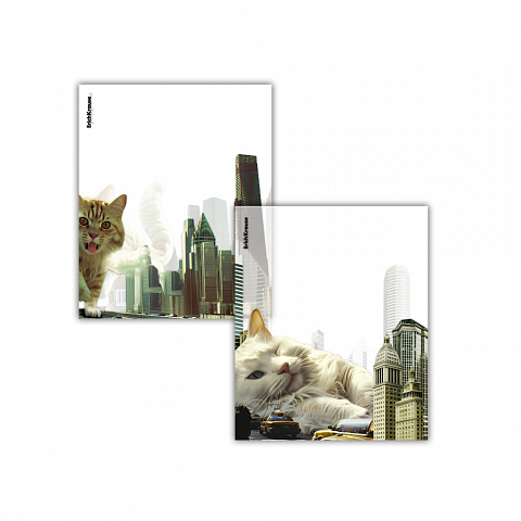 Обложки для тетрадей и дневников 12шт. 80мкм. ErichKrause Big City Cats (212х347мм.) 63508