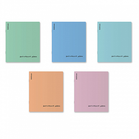 Тетрадь предметная 48л. ErichKrause Dream Английский язык, клетка, пластиковая обложка 65291