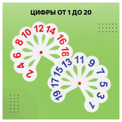 Веера набор 3 шт.(гласные,согласные,цифры) Стамм. ВК12