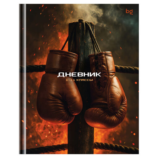 Дневник школьный 1-11 классов БиДжи Бокс 40л. твердая обложка 62154