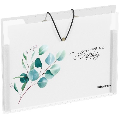 Папка на резинке 5 отделений Berlingo Spring А4 600мкм. с рисунком 05141