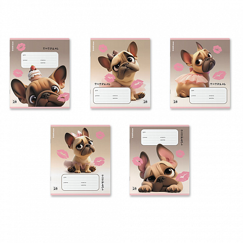 Тетрадь 18л. линия ErichKrause Frenchie 64835