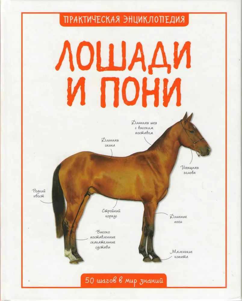 Практическая энциклопедия. Лошади и пони /50 шагов в мир знаний/Махаон