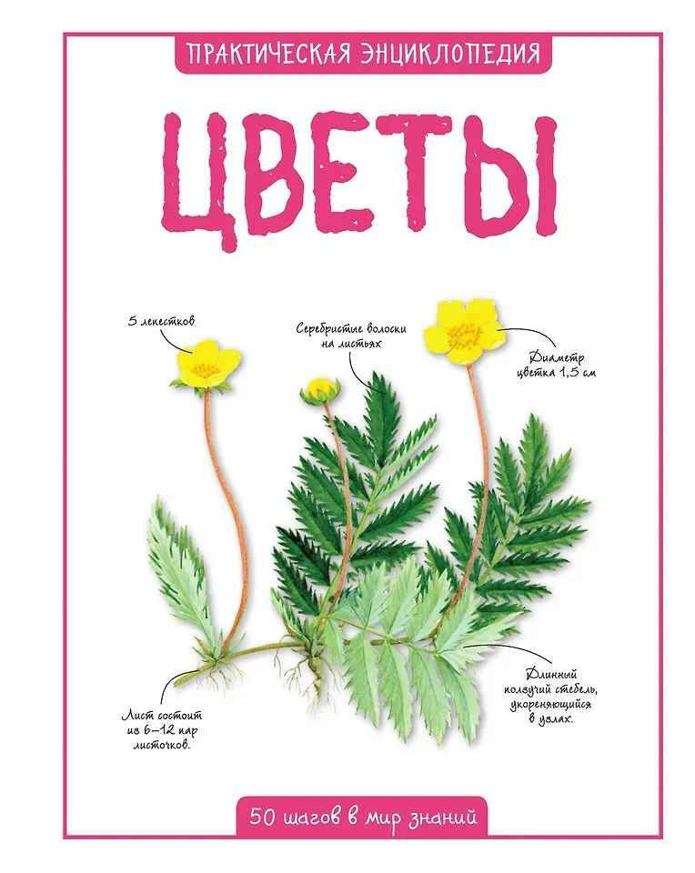 Практическая энциклопедия. Цветы /50 шагов в мир знаний/Махаон
