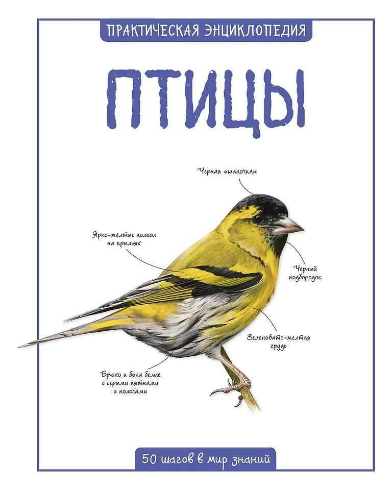 Практическая энциклопедия. Птицы /50 шагов в мир знаний/Махаон