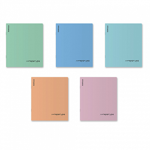 Тетрадь предметная 48л. ErichKrause Dream Литература, линия, пластиковая обложка 65280