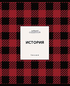 Тетрадь предметная 48л. Апплика Яркая клетка История С9922-09